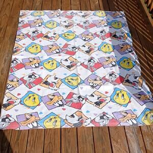 Vintage Looney Tunes Blanket *Altered
